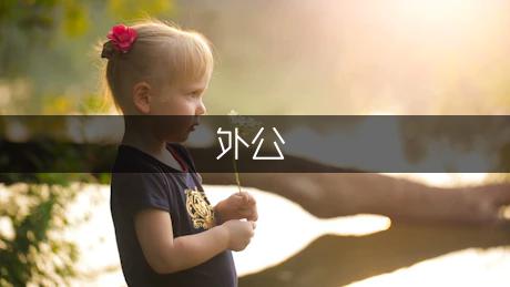 外公的小菜园作文