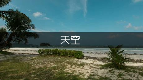 高中作文院墙外的天空900字