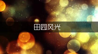 描写田园风光的作文400字:乡村美景