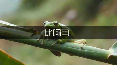 关于父爱的优美比喻句