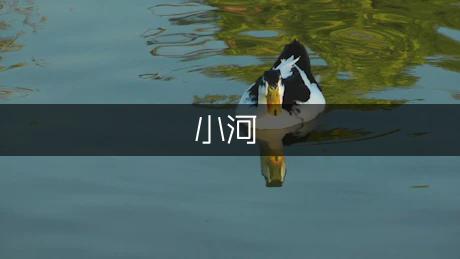 家乡的小河