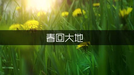 春回大地小学五年级作文