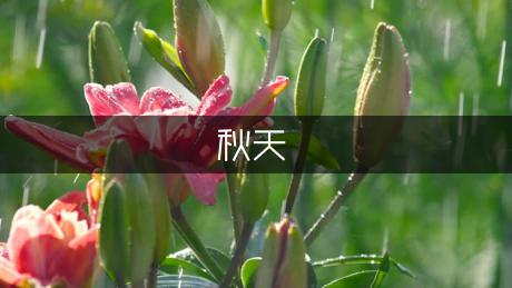 描写秋天的拟人句-精品