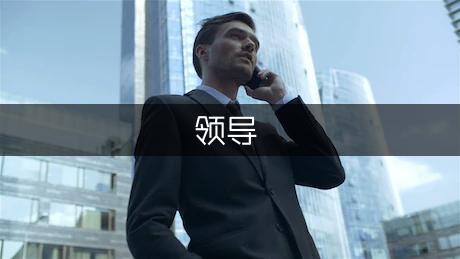 猴年送领导的元旦佳节祝福语