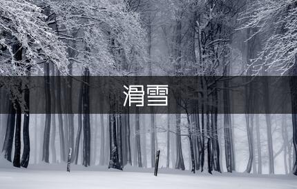 滑雪的写事作文400字