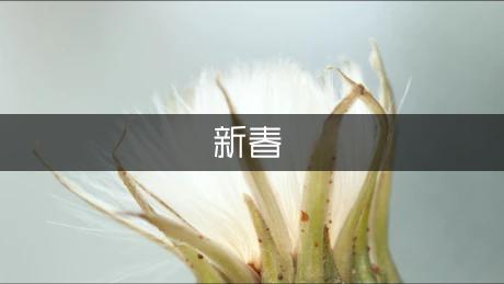 新春对联（通用版）