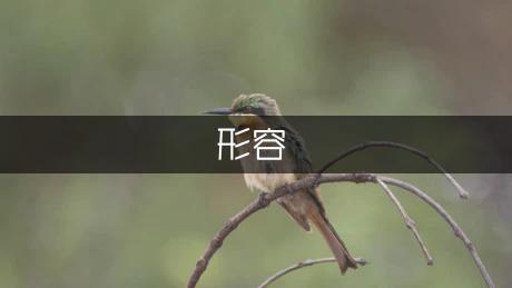 形容夫妻恩爱的句子