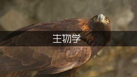 生物学期教学计划