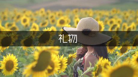 最好的礼物作文字