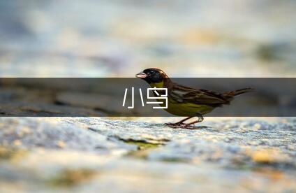 假如我是一只小鸟二年级作文1000字（模板1篇）