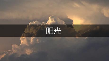 冬日阳光作文550字（实用2篇）