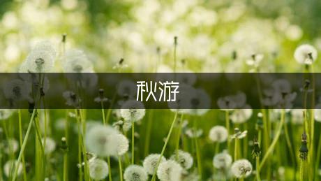 秋游鬼洞300字作文（模板6篇）