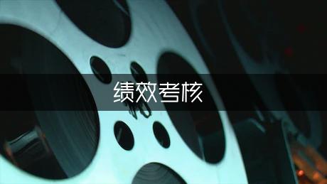 绩效考核的工作总结（精选2篇）