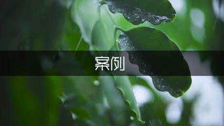 试讲教案2案例（通用2篇）