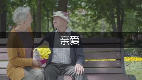 亲爱的母校作文（实用8篇）