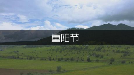 重阳节感恩日记300字