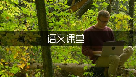 我梦想的语文课堂六年级作文