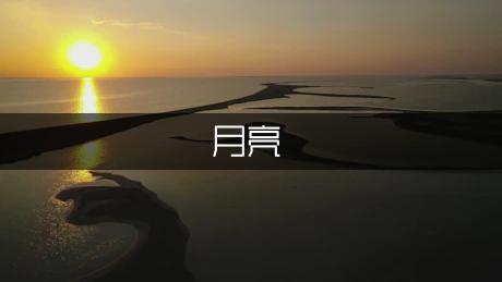 关于月亮的作文