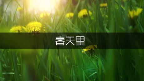 春天里的紫藤花初中作文1000字