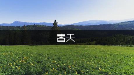 春天的景*作文100字