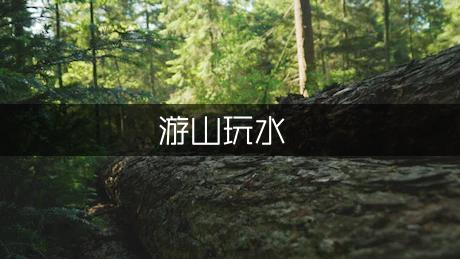 *之游山玩水作文