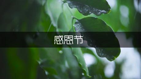 感恩节活动策划（热门3篇）