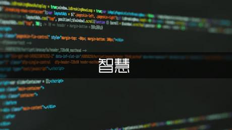 智慧是什么作文