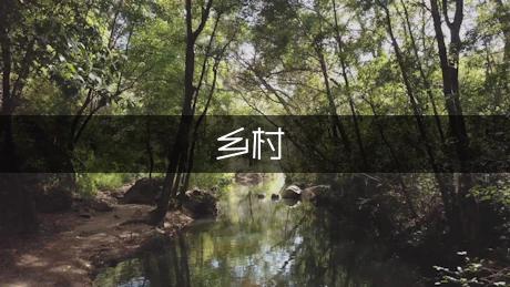 乡村医生年度总结（优秀3篇）