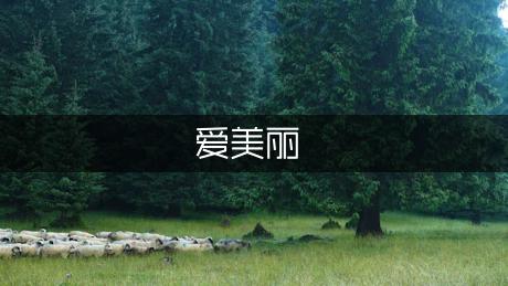 我爱美丽的金佛山作文700字