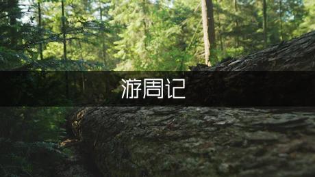 阳江游周记500字