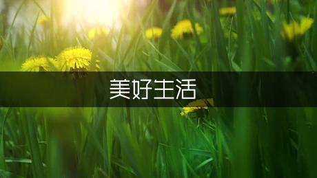 美好乡村,美好生活作文400字