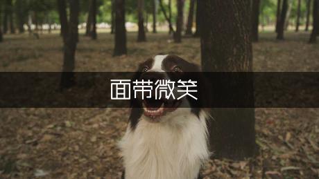 面带微笑的作文