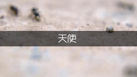 白*天使的初中作文（热门9篇）