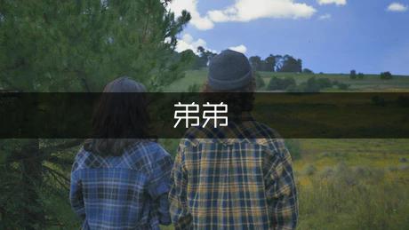 我家的捣蛋鬼弟弟作文300字