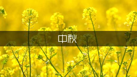 中秋赏月的写作作文