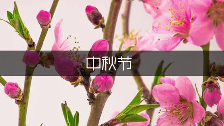 关于中秋节的来历小学作文（热门9篇）