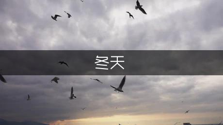 冬天到了，春天还会远吗