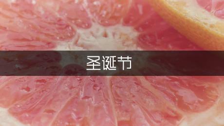 圣诞节夜晚的作文