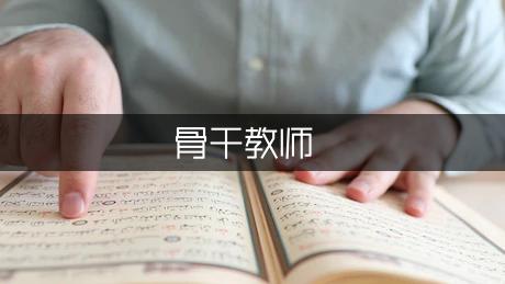 骨干教师年度考核个人总结